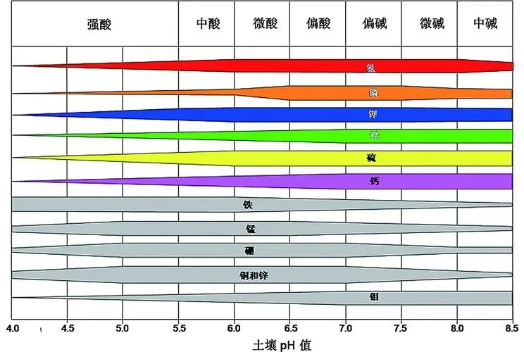 榴莲视频色版APP下载酸碱度速测仪